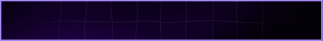 Banner 5